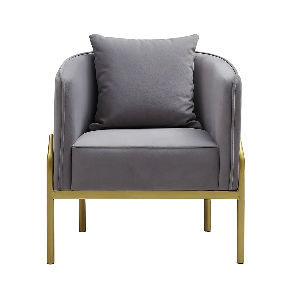 Grey Velvet Accent Chair Modern Upholstered Arm Chair with Gold Legs Pillow Included