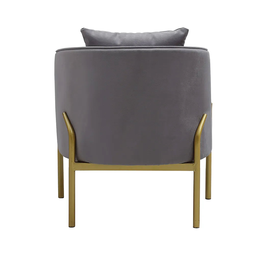 Grey Velvet Accent Chair Modern Upholstered Arm Chair with Gold Legs Pillow Included